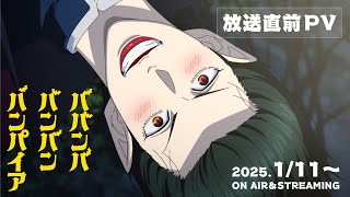 TVアニメ『ババンババンバンバンパイア』放送直前PV│2025年1月11日放送開始♨