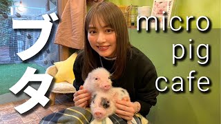 【念願】マイクロブタに癒やされた🐷🫶🏻