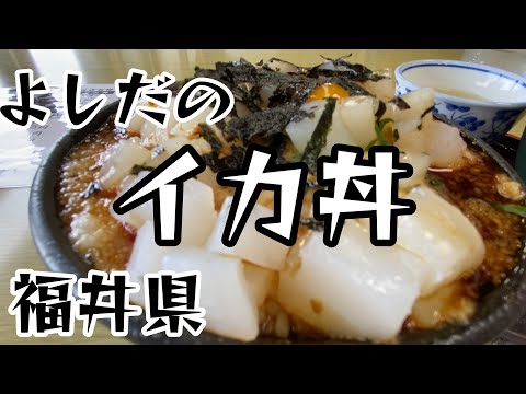 【福井県】ドライブインよしだのイカ丼　＃イカ丼＃アオリイカ