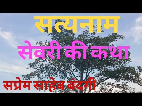 सेवरी की कथा #satyavani #Sevarikikatha#sevariand matangrishi#Sevariorramjee