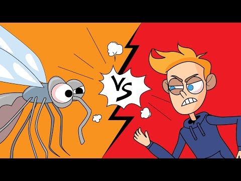 What If Mosquitoes Are Gone, If You Don't Go To Toilet or If You Are Sucked Into A Tornado?