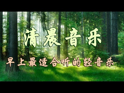 早上聽的好歌 , 清除負面能量🎵3小时的沉静音乐，充满正能量的钢琴音乐_早晨的放松音乐，鸟的声音, 早上康復音樂, 音樂讓您感到舒適