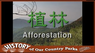 【香港郊野公園回顧系列】第3輯 - 植林 Afforestation