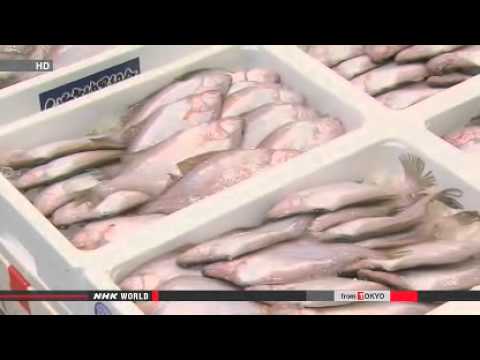 Post accident fish auctions in Fukushima