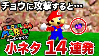 【マリオ64】懐かしの衝撃的な小ネタ・隠し要素14選【ゆっくり解説】