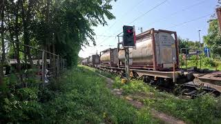 Rund um Wiesbaden Schierstein Eisenbahnfotografie Züge in Wiesbaden Schierstein