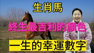 生肖屬相馬！屬馬人終身最吉利的顏色？生肖馬一生的幸運數字？本期視頻說生肖屬馬人！#生肖 #運勢 #財運 #顏色 #風水