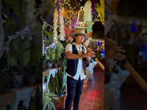 Soleado - Panflute #live #andean #merrychristmas2024 #feliznavidad2024 #christmaseve #relax #soul