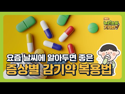 환절기 감기약 복용 팁! 증상별 올바른 복용 가이드💊