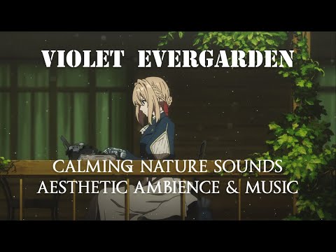 Violet Evergarden Aesthetic Ambience 💼🌿| calming nature sounds with healing music