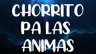 CHORRITO PA LAS ANIMAS Feid LETRA