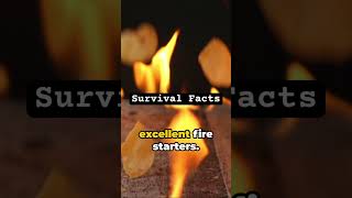 Survival Facts. #shorts #survivalfacts