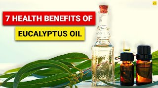 7 Health Benefits of Eucalyptus Oil that You Must Know! Credihealth