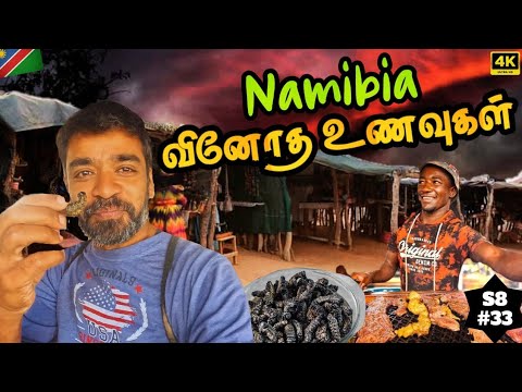 🐛 இன்னைக்கு இத விடுறதா இல்ல | 🇳🇦Namibia Ep2