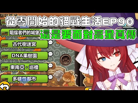 【貓咪大戰爭】從零開始的貓戰生活EP90 最不想面對的高星真傳！來推三星吧！