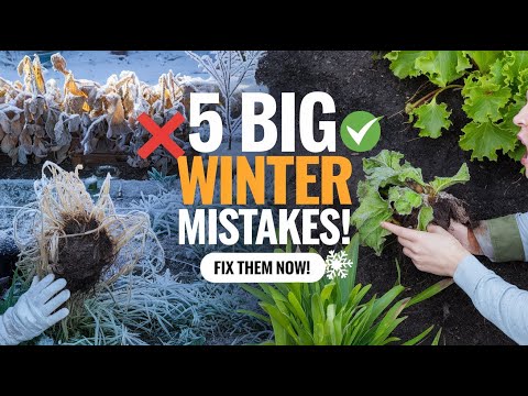 Top 5 Winter Gardening Mistakes and How to Avoid Them