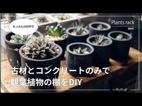 【賃貸DIY】古材とコンクリートのみでで作るインテリアに合う観葉植物の棚