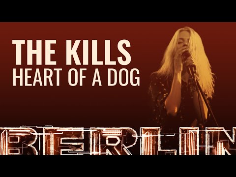 The Kills - Heart of a Dog [BERLIN LIVE]