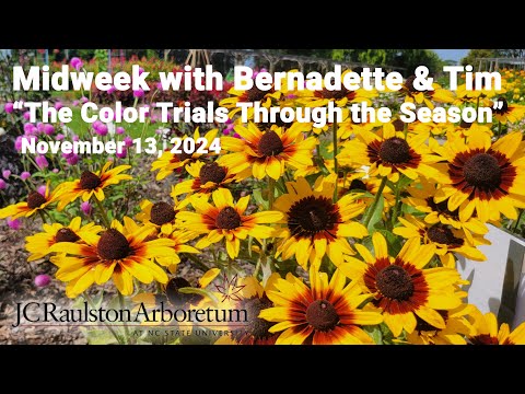 Midweek with Bernadette & Tim - "The Color Trials Through the Season"