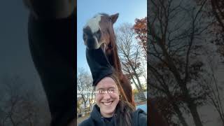 My Horse just Love Me... #horselovers #horsevideo