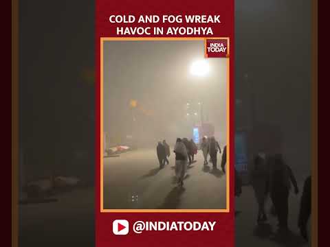 Ayodhya Witnesses Heavy Fog And Intense Cold Weather, People Shiver #shorts #ayodhya #winter