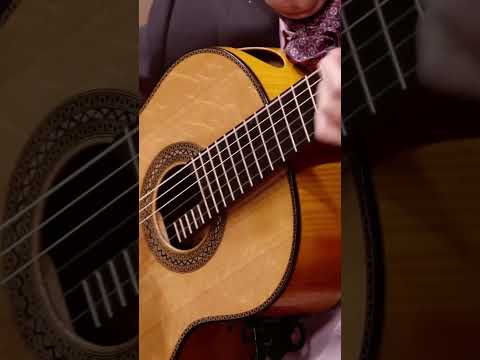 Eliot Fisk - Por Ti Mi Corazon #guitar #classicalguitar #omniconcerts #ponce