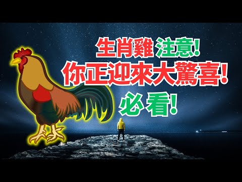 生肖雞，你近期會遇難題，但別擔心，你大運將至，很快將翻轉困境，化解一切苦難！驚喜，必看！ #2024年屬雞運程 #2024生肖雞運勢 #2024属鸡运势 #2024属鸡运程