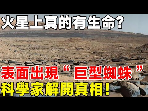 火星上真的有生命？ 表面出現“巨型蜘蛛”，科學家解開真相！#科普頻道 #科普