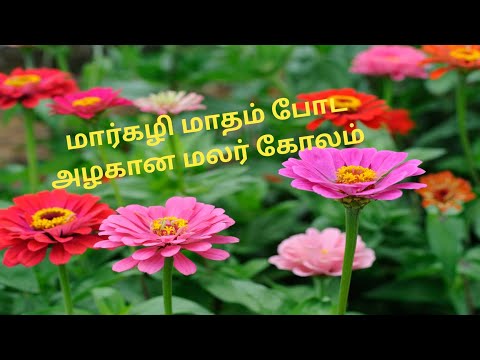 மார்கழி கோலங்கள்|வண்ணக் கோலங்கள்| வாசல் படி கோலங்கள்|மலர் கோலம்|#Bala Kolams|BKR#198|