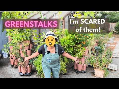 TOP 10 MISTAKES New GREENSTALK gardeners make!