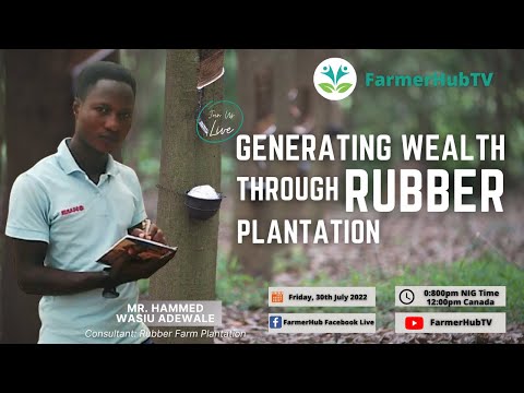 Generating Wealth Through Rubber Plantation