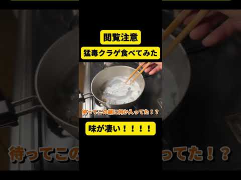 【食べて検証】猛毒カツオノエボシ食べてみた