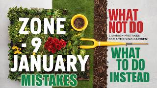 Zone 9 January Gardening: Common Mistakes to Avoid for a Thriving Garden