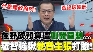 在野砍預算遭側翼圍剿... 羅智強揪"蔡英文昔主張"打臉!怒轟:"什麼爛政府阿"