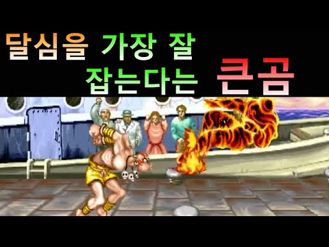 달심을 가장 잘 잡는 중국유저 "큰곰"