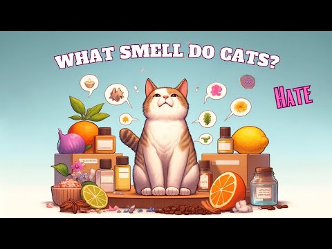 10 Smells Cats Hate the Most! 😱