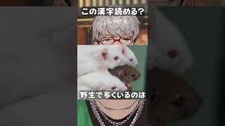 動物の難読漢字、読める？ #shorts #雑学 #生き物