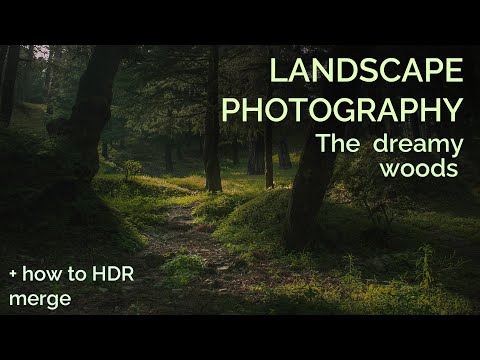 Landscape Photography : The dreamy forest | And some basics of HDR merging