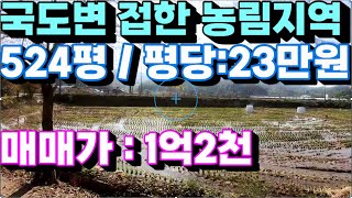 1514번)국도변에접한 농림지역 524평 평당:23만원 농업인 추천(양평부동산급매물)(양평토지매매)