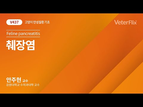 [베터플릭스][고양이 만성질환 기초] 췌장염 (Feline pancreatitis)