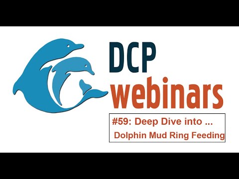 DCP Deep Dive: Dolphin Dining (incl mud ring feeding)