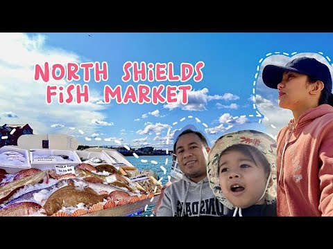 Productive Day in my life | North Shields Fish Quay | Chill vlog🍁