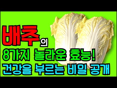 배추의 8가지 놀라운 효능! 건강을 부르는 비밀 공개