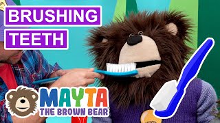 How to Brush your Teeth Video for Toddlers | Learning Video for Preschoolers