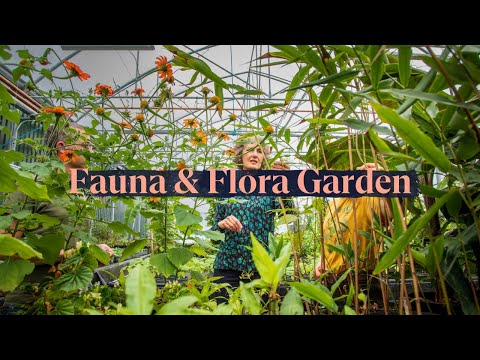 The story of the Fauna & Flora garden