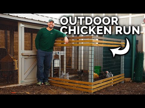 DIY Outdoor Chicken Run Build for the Epic Hens! 🐔