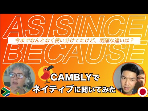 asとsinceとbecauseの違いについてCamblyでネイティブに聞いてみた