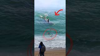 Shocking❗ An ORCA whale hits 3 surfers! 😱