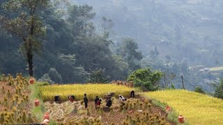 Ha Giang preserving cultural beauty of ethnic minority group