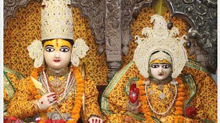 Shringar Arti Of Shri Kanak Bihari Ji as on 19-09-24 08.00 AM